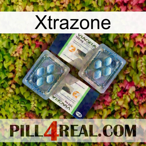 Xtrazone viagra5.jpg